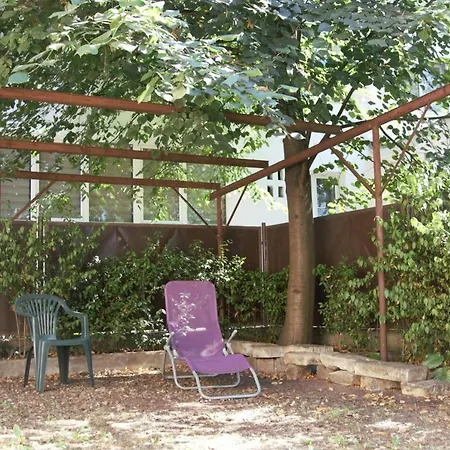 Casa Cu Tei *
