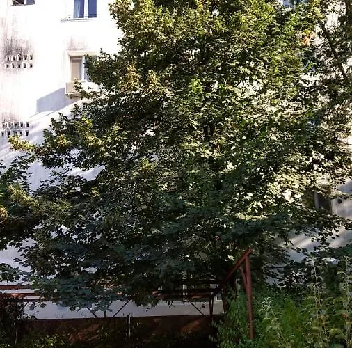 Casa Cu Tei Apartment Cluj-Napoca
